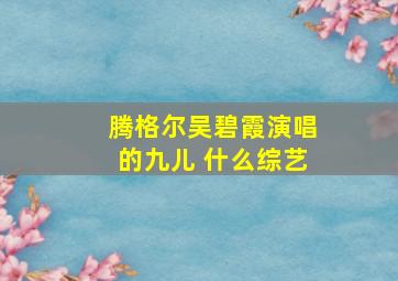 腾格尔吴碧霞演唱的九儿 什么综艺